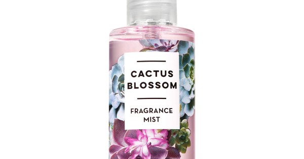 Cactus blossom mist discount review